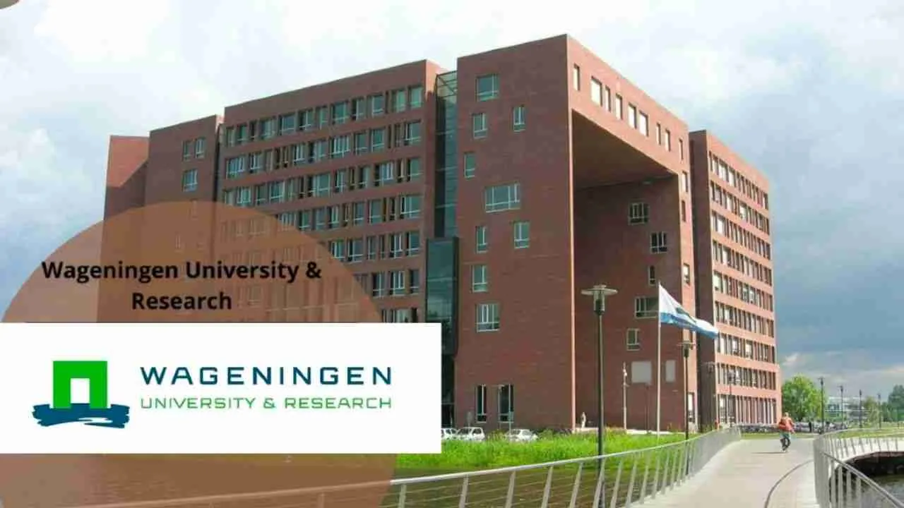 Wageningen University Africa Scholarship Program 2024 [fully Funded